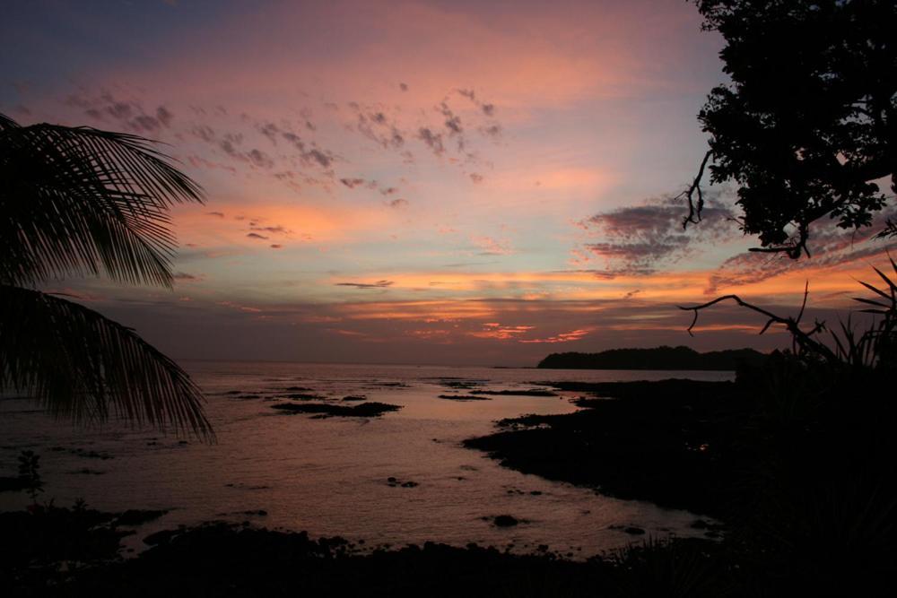 Oceanfront Bungalows - Paradise Rentals Santa Catalina Exterior foto